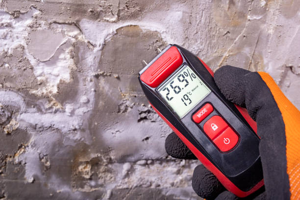 Best Fast Mold Removal  in Derwood, MD